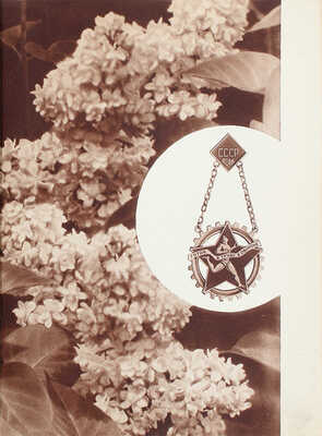 [Парад молодежи. Фотоальбом / Худож. оформ. А. Родченко, В. Степановой]. A pageant of youth. M.; L.: State art publishers, 1939.